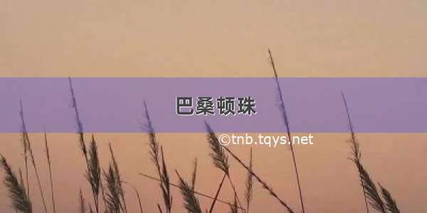 巴桑顿珠