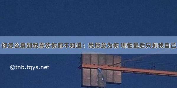 你怎么蠢到我喜欢你都不知道：我愿意为你 哪怕最后只剩我自己