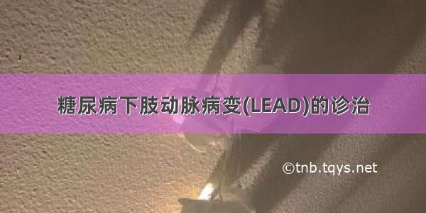 糖尿病下肢动脉病变(LEAD)的诊治