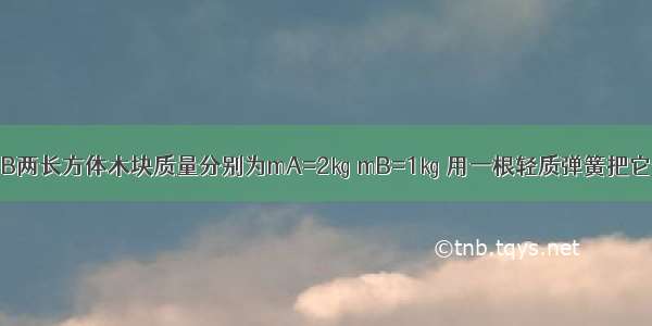 如图所示 A B两长方体木块质量分别为mA=2㎏ mB=1㎏ 用一根轻质弹簧把它们连接在一