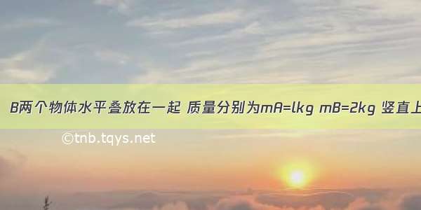 如图所示 A．B两个物体水平叠放在一起 质量分别为mA=lkg mB=2kg 竖直上抛两个物体