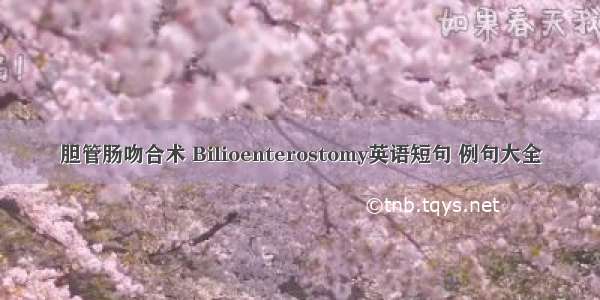 胆管肠吻合术 Bilioenterostomy英语短句 例句大全