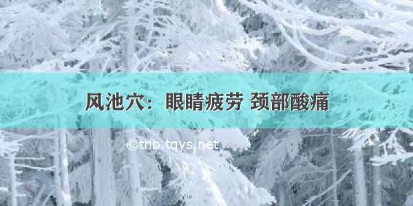 风池穴：眼睛疲劳 颈部酸痛