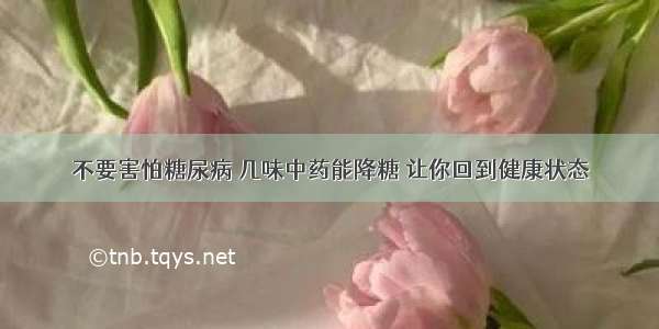 不要害怕糖尿病 几味中药能降糖 让你回到健康状态