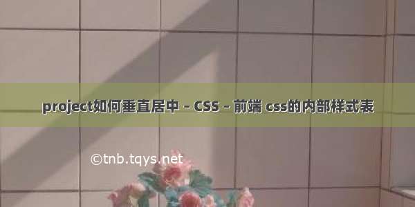 project如何垂直居中 – CSS – 前端 css的内部样式表