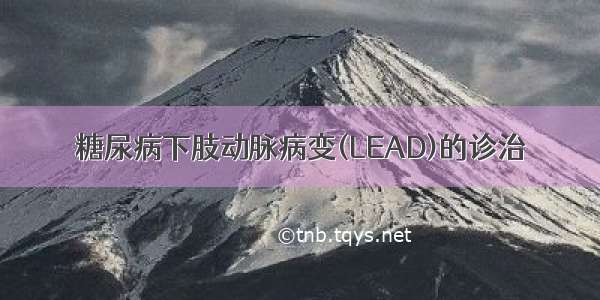 糖尿病下肢动脉病变(LEAD)的诊治