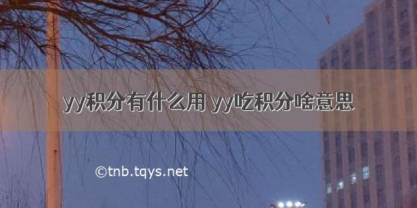 yy积分有什么用 yy吃积分啥意思