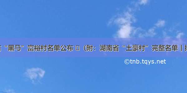 湖南省“黑马”富裕村名单公布 ​（附：湖南省“土豪村”完整名单丨排行榜）