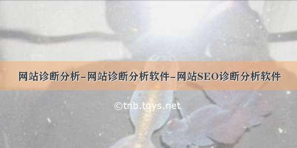 网站诊断分析-网站诊断分析软件-网站SEO诊断分析软件