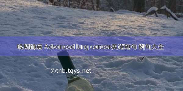 晚期肺癌 Advanced lung cancer英语短句 例句大全