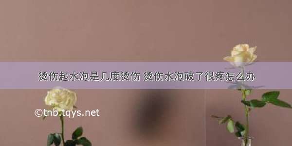 烫伤起水泡是几度烫伤 烫伤水泡破了很疼怎么办