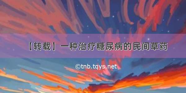 【转载】一种治疗糖尿病的民间草药