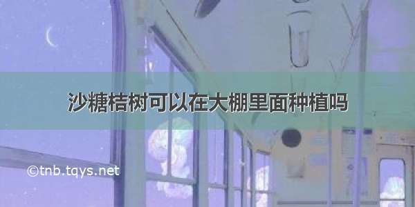 沙糖桔树可以在大棚里面种植吗