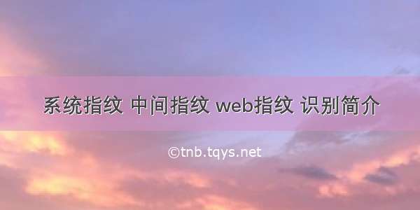 系统指纹 中间指纹 web指纹 识别简介