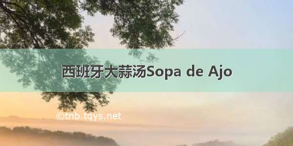 西班牙大蒜汤Sopa de Ajo