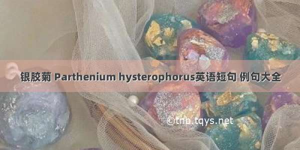 银胶菊 Parthenium hysterophorus英语短句 例句大全