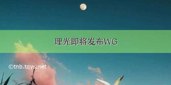 理光即将发布WG