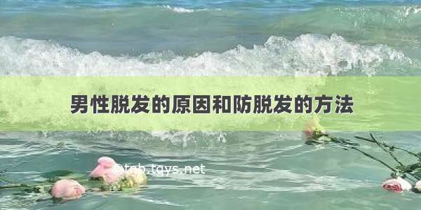 男性脱发的原因和防脱发的方法