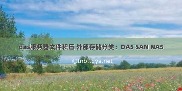 das服务器文件积压 外部存储分类：DAS SAN NAS