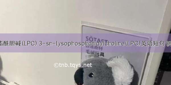 溶血磷脂酰胆碱(LPC) 3-sn-lysophosphatidylcholine(LPC)英语短句 例句大全