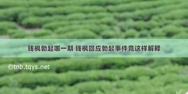 钱枫勃起哪一期 钱枫回应勃起事件竟这样解释