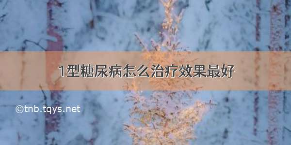 1型糖尿病怎么治疗效果最好