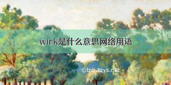 wink是什么意思网络用语