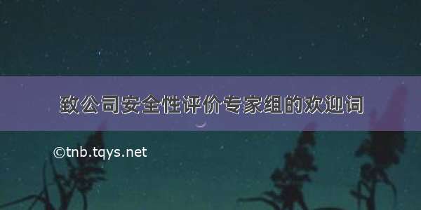 致公司安全性评价专家组的欢迎词