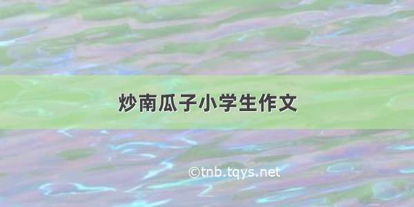 炒南瓜子小学生作文