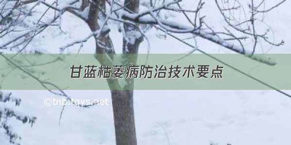 甘蓝枯萎病防治技术要点