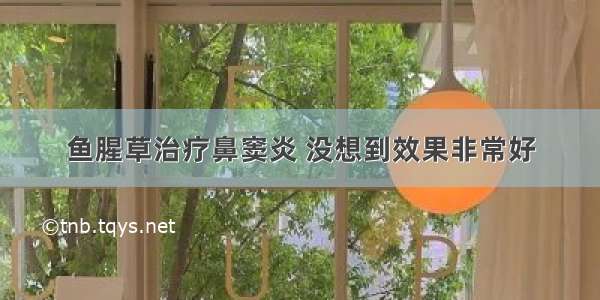 鱼腥草治疗鼻窦炎 没想到效果非常好