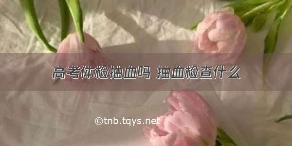 高考体检抽血吗 抽血检查什么