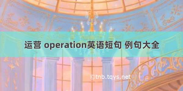 运营 operation英语短句 例句大全