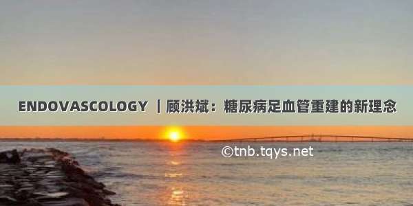 ENDOVASCOLOGY ｜顾洪斌：糖尿病足血管重建的新理念