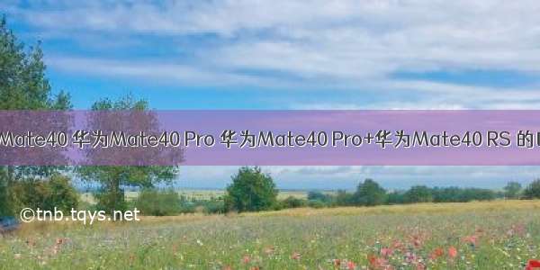 华为Mate40 华为Mate40 Pro 华为Mate40 Pro+华为Mate40 RS 的区别