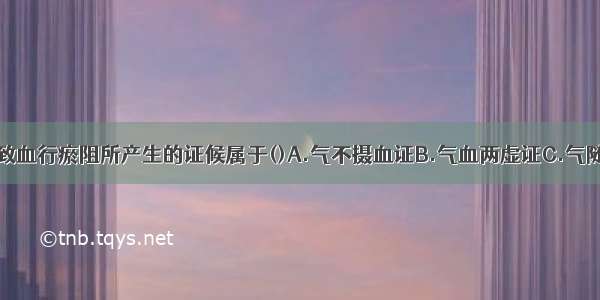 气机郁滞 导致血行瘀阻所产生的证候属于()A.气不摄血证B.气血两虚证C.气随血脱证D.气