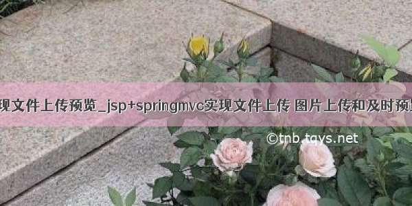 java实现文件上传预览_jsp+springmvc实现文件上传 图片上传和及时预览图片