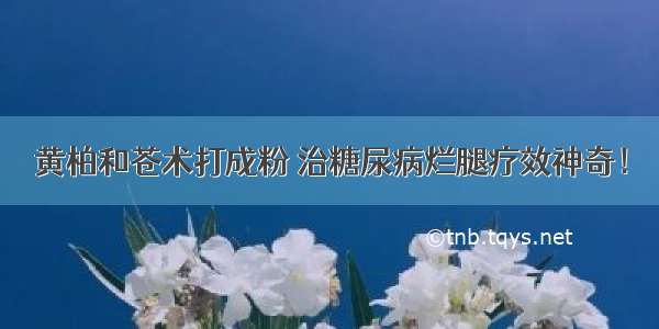 黄柏和苍术打成粉 治糖尿病烂腿疗效神奇！