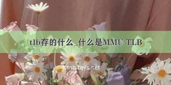 tlb存的什么_什么是MMU TLB