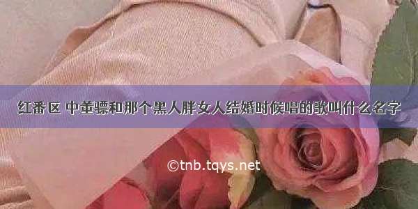 红番区 中董骠和那个黑人胖女人结婚时候唱的歌叫什么名字