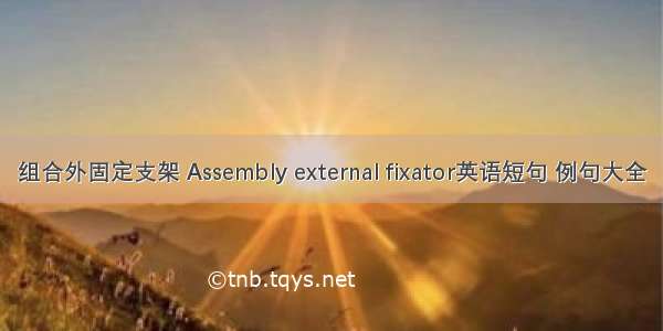 组合外固定支架 Assembly external fixator英语短句 例句大全