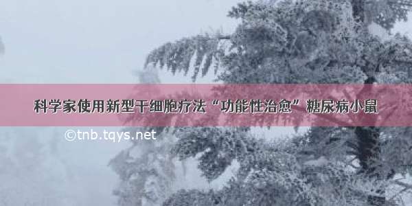 科学家使用新型干细胞疗法“功能性治愈”糖尿病小鼠