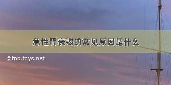 急性肾衰竭的常见原因是什么