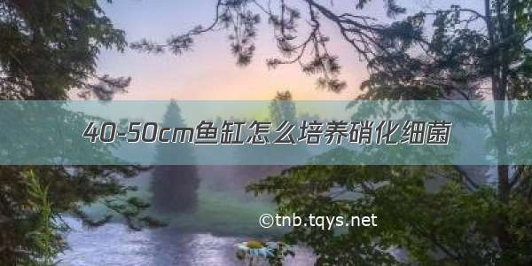 40-50cm鱼缸怎么培养硝化细菌