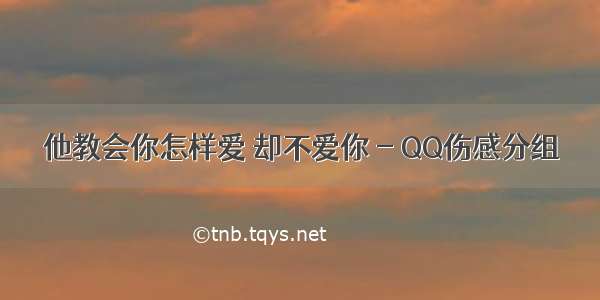 他教会你怎样爱 却不爱你 - QQ伤感分组