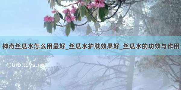 神奇丝瓜水怎么用最好_丝瓜水护肤效果好_丝瓜水的功效与作用