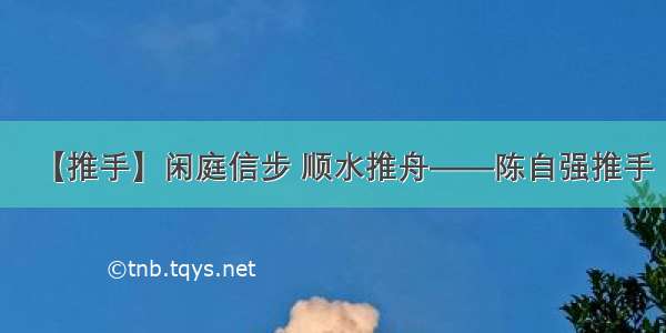 【推手】闲庭信步 顺水推舟——陈自强推手