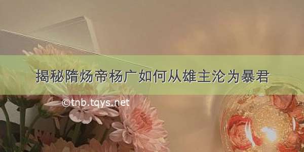 揭秘隋炀帝杨广如何从雄主沦为暴君