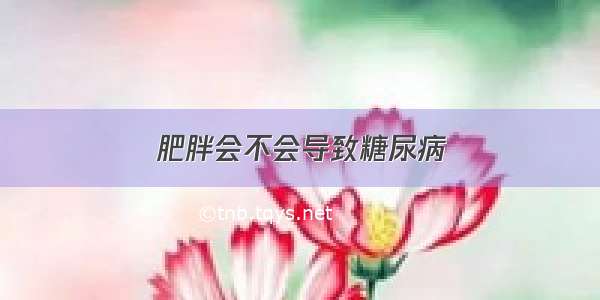 肥胖会不会导致糖尿病