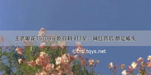 王思聪花15708元吃日料 打1星：网红背后 都是噱头